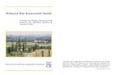 Vineyard Site Assessment Guide - sonomacounty.ca.govsonomacounty.ca.gov/.../Apiary/_Documents/VineyardSiteAssessme… · Significance – Physical and chemical soil properties lend