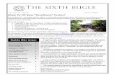 THE SIXTH BUGLE · 2013. 8. 27. · THE SIXTH BUGLE - PAGE 4 checks for invoices he/she has approved. Consider that there should be separate approval of each transaction. The other