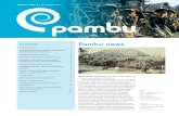 SERIES 6, NO. 3 | Pacific Manuscripts Bureau Newsletter …asiapacific.anu.edu.au/pambu/newsletters/PambuSeries6 no3... · 2016. 11. 16. · PMB PHOTO 82_023 (below) Preparations