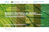 Beyond 'Business as Usual': Biodiversity Targets and Finance...2 Beyond 'Business as Usual': Biodiversity Targets and Finance Executive summary 1. Executive summary 1 Throughout this