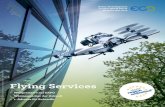 Flying Services - Green Tech...ufsehenerregend gestaltet sich das Unterfangen der beiden Schweizer Flugpioniere Bertrand Piccard und André Borschberg: Sie lenken das Solarflugzeug