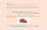 victoriapradohome.files.wordpress.com  · Web viewCAPÍTULO 9. Mecanismos especiales del corazón producen una sucesión continuada de contracciones Ritmicidad cardíaca. Corazón