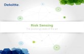 Risk Sensing - NACMInsights, asked C-level executives in large organizations about their companies’ risk sensing capabilities. This document, directed to senior executives, presents