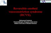 Reversible Cerebral Vasoconstriction Syndrome · 2009. 8. 31. · cerebral vasoconstriction syndrome and primary angiitis of the central nervous system. Eur J Neurol 2007; 14: 1085–7.