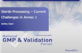 Sterile Processing Current Challenges in Annex 1... · 2018. 2. 14. · •ISO 14644 parts 1 & 2 (2015) do not mention HEPAs •ISO 14644 part 3 –provides HEPA leak test. Allows