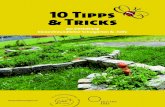10 Tipps & Tricks PDF file Die Beziehung zwischen Bienen und Blüten hat die Natur so eingerichtet. Denn die beiden brauchen einander. Aber seit Jahren sterben die Bienen; Leise und