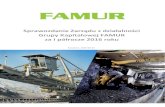 Grupy Kapitałowej FAMUR za I półrocze 2016 roku...2016/08/26  · Sprawozdanie Zarządu z działalności Grupy FAMUR za I półrocze 2016 roku | 4 przez Grupę FAMUR maszyny posiadają