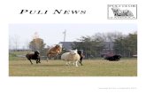 PULI NEWS - Puli Club of America, Inc. · Puli News - 2015, Page 4 club should grandfather in old members and give them a hard copy of Puli News if they de-sire to receive one. It