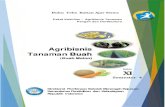 Agribisnis Tanaman Buah - Buku Kurikulum 2013 edisi Revisi ......Paket Keahlian : Agribisnis Tanaman Pangan dan Hortikultura i KATA PENGANTAR Kurikulum 2013 dirancang untuk memperkuat