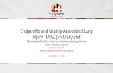 E-cigarette and Vaping -Associated Lung Injury (EVALI) in Maryland · 2020. 1. 9. · E-cigarette and Vaping -Associated Lung Injury (EVALI) in Maryland The Comptroller’s Task Force