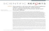 Dynamics of neural representations when searching for … · 2018. 9. 6. · Scientific RePoRts | (2018)8:13277 DOI:1.13s415-1-3152-y 1 Dynamics of neural representations when searching