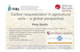 Carbon sequestration in agricultural soils a global ... · against reliance on carbon sequestration for tackling climate change, involving saturation of the carbon sink (th b i l