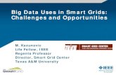 Big Data Uses in Smart Grids: Challenges and Opportunities...Big Data Uses in Smart Grids: Challenges and Opportunities M. Kezunovic Life Fellow, IEEE Regents Professor Director, Smart