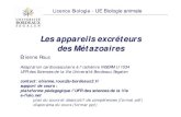 Les appareils excréteurs des Métazoairesefisio.online.fr/ensenhament11/DOV/a-excreteurs.pdf · 2012. 3. 5. · Les appareils excréteurs des Métazoaires Licence Biologie - UE Biologie