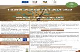 Presentazione standard di PowerPoint · 2020. 8. 25. · Misura 2 del PSR della Regione Veneto nel rispetto delle indicazioni riportate nella DGRV n.1940 del 21.12.18 e succ. modifihe,