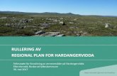 RULLERING AV REGIONAL PLAN FOR HARDANGERVIDDA · 2018. 6. 24. · Hardangervidda 3. Kommunal planoppfølging 4. Utmarksnæring i Landbruks-, natur- og friluftsområder 5. Villreinens
