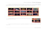 Páxinas multimedia - Galería de imaxeswebardora.net/Manuales/ArdoraTitoriais_M01_galeria_gal.pdf · 2017. 8. 28. · Páxinas multimedia - Galería de imaxes Páxinas multimedia