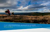 THE ECONOMIC SIGNIFICANCE OF THE VICTORIAN ......The economic significance of the Victorian Alpine resorts – Summer season 2011 A report for the Alpine Resorts Co-ordinating Council