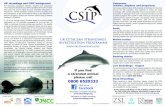 UK strandings and CSIP background Cetaceans · 2018. 7. 17. · UK Cetacean Strandings Investigation Programme If you find a stranded animal please call 0800 6520333 UK strandings