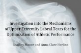 Investigation into the Mechanisms Optimization of Athletic ...rrg.utk.edu/resources/BME473/lectures/presentation_team_3.pdf · a) Finite-Element Analysis to develop labral model from