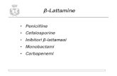 Penicilline Cefalosporine Inibitori β-lattamasi Monobactami … · 2015. 12. 27. · Attive nei confronti di microrganismi sensibili alle cefalosporine 1°gen S. aureus ,Streptococcus