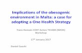 Implications of the obesogenic environment in Malta: a case for …neoh.onehealthglobal.net/wp-content/uploads/sites/2/2015/... · 2018. 8. 6. · Age-standardized prevalence estimates