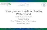 Brandywine Christina Healthy Water Fund...Brandywine- Christina Healthy Water Fund The Brandywine Christina • Two states (DE & PA) – evenly split amongst agriculture, urban and