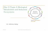 Day 2/Topic 2: Biological Metabolism and Industrial Ecosystems · Metabolism and Industrial Ecosystems Dr. Anthony Halog Source: UNEP, ABC of SCP. 2010 10/26/2018 Industrial Ecology