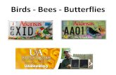 Birds - Bees - Butterflies … · 21/1/2020  · In total, bees contribute more than $15 billion to U.S. crop production. US Dept. of Agriculture says it best: Without pollinators,