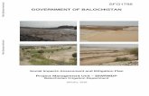 GOVERNMENT OF BALOCHISTAN - World Bank · 2016. 2. 10. · 3.5.2 No. of Water & Land Shareholders in Nimmi Sub-project Area 19 3.6 Communal Land 19 3.7 Tenancy 20 3.8 Cropping Pattern