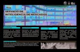 SERVICIO DE INTELIGENCIA DE MERCADOS - USFX · 2019. 7. 29. · SERVICIO DE INTELIGENCIA DE MERCADOS NUESTROS SERVICIOS NUESTRO PROPÓSITO Brindar servicios especializados en inteligencia
