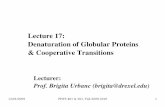 Lecture 17: Denaturation of Globular Proteins ...12/01/2009 PHYS 461 & 561, Fall 2009-2010 1 Lecture 17: Denaturation of Globular Proteins & Cooperative Transitions Lecturer: Prof.