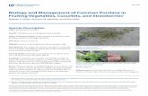 Biology and Management of Common Purslane in Fruiting ...edis.ifas.ufl.edu/pdffiles/HS/HS123800.pdf · Biology and Management of Common Purslane in Fruiting Vegetables, Cucurbits,