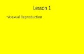 Asexual Reproduction - Weeblymarandoscience.weebly.com/uploads/2/3/7/6/23768555/cell...Lesson 1 •Asexual Reproduction Asexual Reproduction •Produces genetically identical offspring