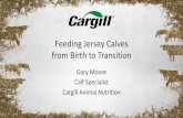 Feeding Jersey Calves from Birth to Transition · 2018. 10. 26. · Gary Moore Calf Specialist Cargill Animal Nutrition. Jersey Calves vs. Larger Breeds ... –If not enough colostrum