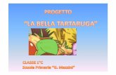 PROGETTO CLASSE1C power point · 2017. 6. 21. · Il progetto trae ispirazione da :“La bella tartaruga”di Bruno Lauzi e da “ Molly ha tanti amici” Edizioni didattiche Gulliver.
