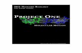 Welcome to the 2012 Biology I Honors Projectliquidbio.com/site/assets/2012HonorsProject1.docx · Web viewWelcome to the 2012 Biology I Honors Project. Our goal for the Honors Projects