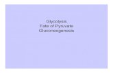 Glycolysis Fate of Pyruvate Gluconeogenesisfaculty.uca.edu/lorii/4320_pdf/transparencies/figs/... · 2003. 10. 20. · Gluconeogenesis (GNG) Fig 21.7 Biochemistry 2nd ed, Voet/Voet.