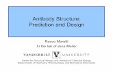 Antibody Structure: Prediction and DesignAntibody Structure: Prediction and Design Rocco Moretti In the lab of Jens Meiler. Rosetta Rosetta consists of multiple modules: protein folding,