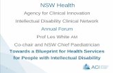 Towards a Blueprint for Health Services for People with ...€¦ · Specialist Disability Health Team (SDHT) CHW– based in Fairfield Other specialist services and hubs of expertise