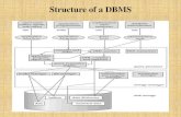 Structure of a DBMSlnmuacin.in/studentnotice/2020/dbms1.pdf · 2020. 4. 23. · Structure of a DBMS Query Processor •The query processor components include •DDL interpreter, which