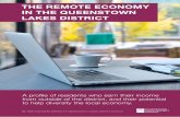 THE REMOTE ECONOMY IN THE QUEENSTOWN LAKES DISTRICT · 3 INTRODUCTION This research was commissioned by Queenstown Lakes District Council to understand more about residents who earn