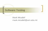 Software Quality Assurancestaff.um.edu.mt/ecac1/files/MM/05 - Testing.pdf · 2020. 6. 1. · Testing is a measurement of software quality in terms of defects found, for both functional
