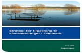 Strategi for tilpasning til klimaændringer i Danmark · 2012. 11. 7. · stormfloder, orkaner og stigende havniveau fra smeltende gletschere. Det må man som ansvarlige politikere