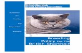 Breeding Policy British Shorthair · 2018. 7. 1. · Draft British Shorthair Breeding Policy – Genetics Committee – after BAC Seminar 6 1. Introduction It is very easy to breed