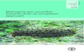 Managing sea cucumber · 2019. 2. 4. · Managing sea cucumber fisheries with an ecosystem approach FOOD AND AGRICULTURE ORGANIZATION OF THE UNITED NATIONS Rome, 2010 FAO FISHERIES