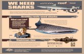 Healthy reefs need sharks - Great Barrier Reef Marine Parkelibrary.gbrmpa.gov.au/.../11017/3572/5/Poster9-We-need-sharks.pdf · • Sharks are important to a healthy ecosystem, keeping