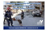 Médecine vétérinaire de catastrophe et tremblement de terre ...ddata.over-blog.com/xxxyyy/3/79/22/04/Retex/ppt-Haiti...Médecine vétérinaire de catastrophe et tremblement de terre