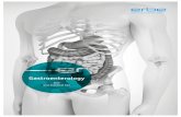 Gastroenterology - ERBE Elektromedizin GmbH · 2017. 7. 12. · Gastroenterology workstation 01 ®VIO 200 D 02 APC 2 03 ERBEJET® 2 04 EIP 2 Fig. 1: Gastroenterology workstation: