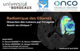Radiomique des Gliomes - Onco-Nouvelle-Aquitaine · 2019. 5. 2. · Radiomique des Gliomes Dissection des tumeurs par l’imagerie Avenir en clinique ? David FADLI1 Pr. Vincent DOUSSET